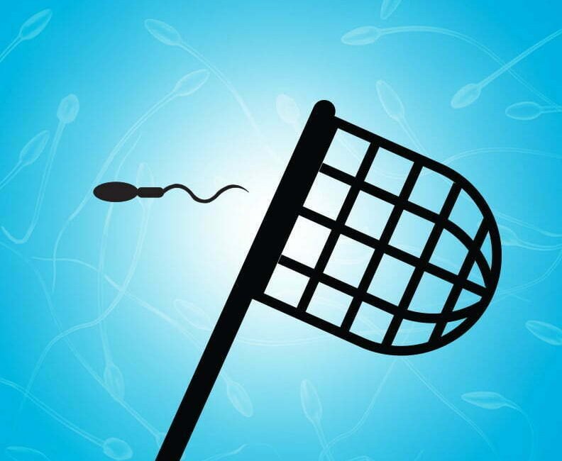 post enbuscadelespermaperdido grande - Irema