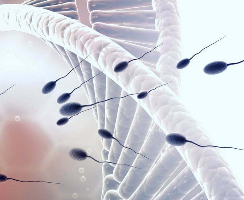 post testtunel grande - Irema